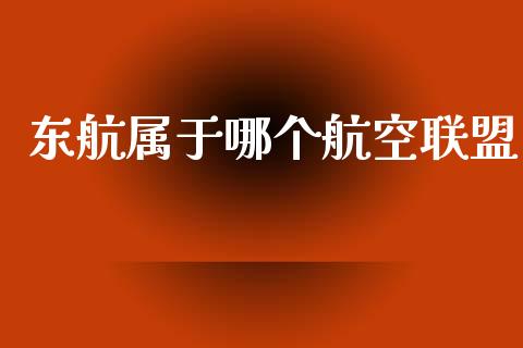 东航属于哪个航空联盟_https://www.ltsssb.com_期货行情_第1张