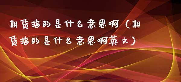 期货指的是什么意思啊（期货指的是什么意思啊英文）_https://www.ltsssb.com_新股数据_第1张