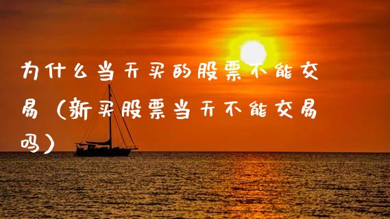 为什么当天买的股票不能交易（新买股票当天不能交易吗）_https://www.ltsssb.com_新股数据_第1张