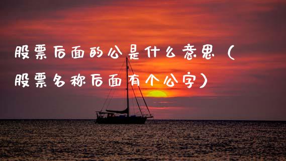股票后面的公是什么意思（股票名称后面有个公字）_https://www.ltsssb.com_新股数据_第1张