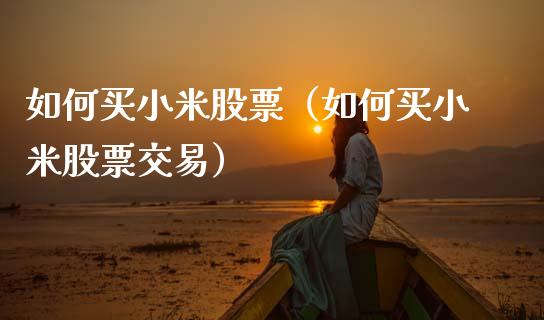 如何买小米股票（如何买小米股票交易）_https://www.ltsssb.com_新股数据_第1张