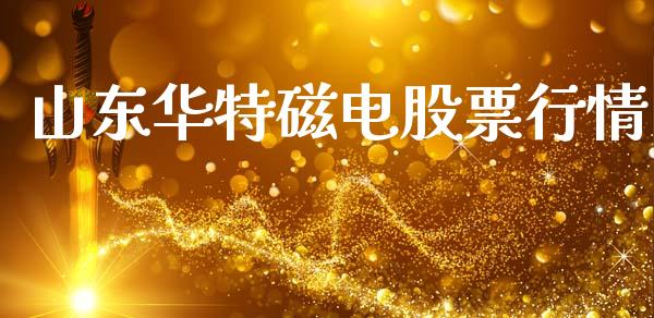 山东华特磁电股票行情_https://www.ltsssb.com_股市分析_第1张