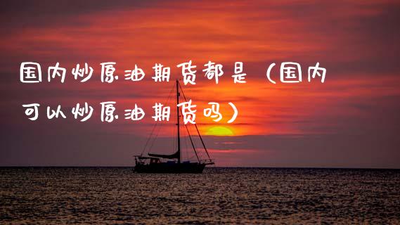 国内炒原油期货都是（国内可以炒原油期货吗）_https://www.ltsssb.com_期货密码_第1张