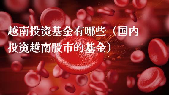 越南投资基金有哪些（国内投资越南股市的基金）_https://www.ltsssb.com_国际财经_第1张
