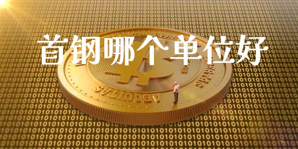 首钢哪个单位好_https://www.ltsssb.com_股市分析_第1张