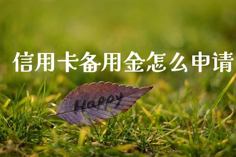信用卡备用金怎么申请_https://www.ltsssb.com_新股数据_第1张