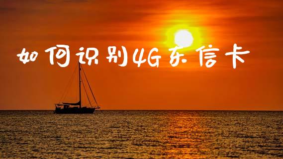 如何识别4G东信卡_https://www.ltsssb.com_股票理论_第1张