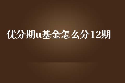 优分期u基金怎么分12期_https://www.ltsssb.com_新股数据_第1张