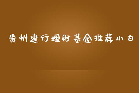 贵州建行理财基金推荐小白_https://www.ltsssb.com_基金频道_第1张