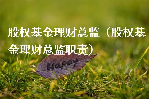股权基金理财总监（股权基金理财总监职责）_https://www.ltsssb.com_基金频道_第1张