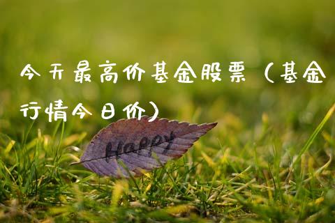 今天最高价基金股票（基金行情今日价）_https://www.ltsssb.com_国际财经_第1张