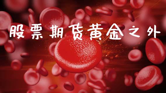 股票期货黄金之外_https://www.ltsssb.com_期货密码_第1张
