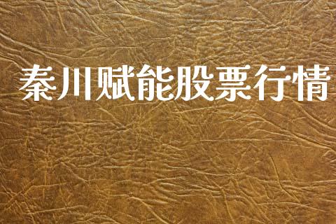 秦川赋能股票行情_https://www.ltsssb.com_股市分析_第1张
