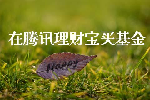 在腾讯理财宝买基金_https://www.ltsssb.com_基金频道_第1张