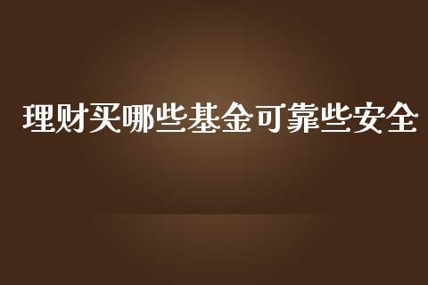 理财买哪些基金可靠些安全_https://www.ltsssb.com_基金频道_第1张