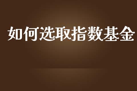 如何选取指数基金_https://www.ltsssb.com_期货在线_第1张