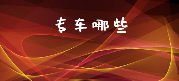 专车哪些_https://www.ltsssb.com_国际财经_第1张