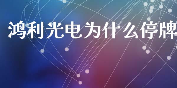 鸿利光电为什么停牌_https://www.ltsssb.com_期货密码_第1张