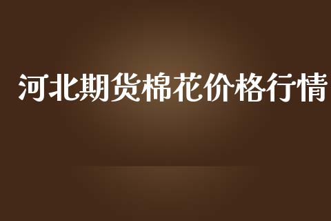 河北期货棉花价格行情_https://www.ltsssb.com_期货密码_第1张