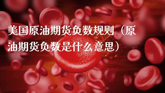 美国原油期货负数规则（原油期货负数是什么意思）_https://www.ltsssb.com_期货密码_第1张