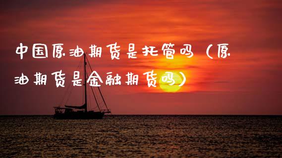 中国原油期货是托管吗（原油期货是金融期货吗）_https://www.ltsssb.com_期货密码_第1张