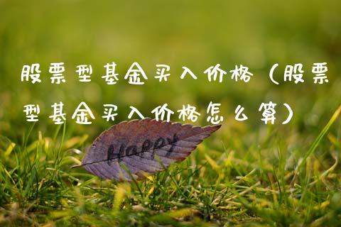 股票型基金买入价格（股票型基金买入价格怎么算）_https://www.ltsssb.com_国际财经_第1张