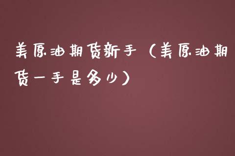 美原油期货新手（美原油期货一手是多少）_https://www.ltsssb.com_期货密码_第1张