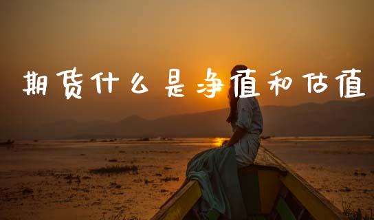 期货什么是净值和估值_https://www.ltsssb.com_期货在线_第1张
