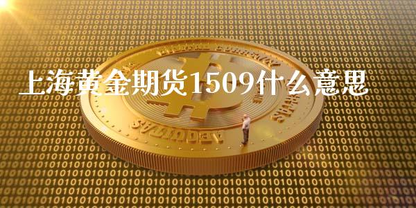 上海黄金期货1509什么意思_https://www.ltsssb.com_国际财经_第1张