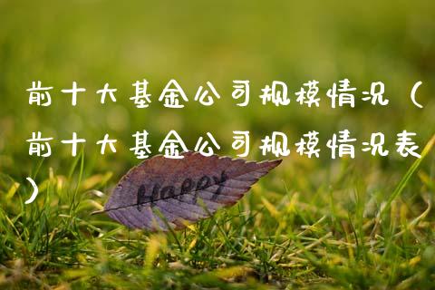 前十大基金公司规模情况（前十大基金公司规模情况表）_https://www.ltsssb.com_国际财经_第1张