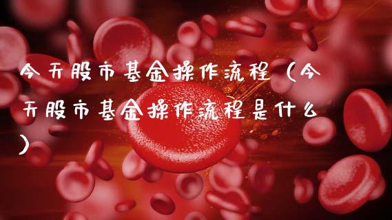 今天股市基金操作流程（今天股市基金操作流程是什么）_https://www.ltsssb.com_基金频道_第1张