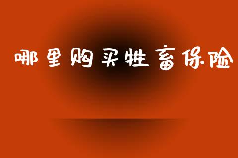 哪里购买牲畜保险_https://www.ltsssb.com_国际财经_第1张
