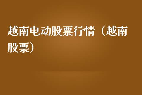越南电动股票行情（越南 股票）_https://www.ltsssb.com_新股数据_第1张