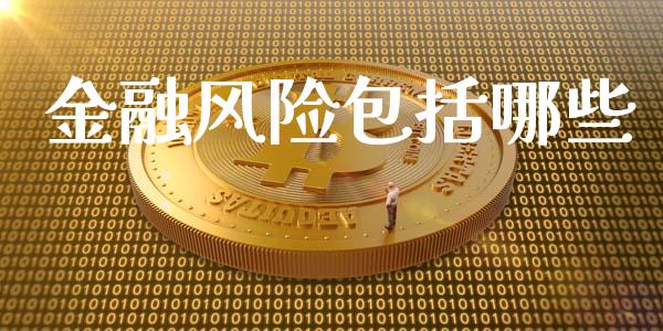 金融风险包括哪些_https://www.ltsssb.com_期货密码_第1张
