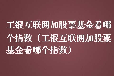 工银互联网加股票基金看哪个指数（工银互联网加股票基金看哪个指数）_https://www.ltsssb.com_国际财经_第1张
