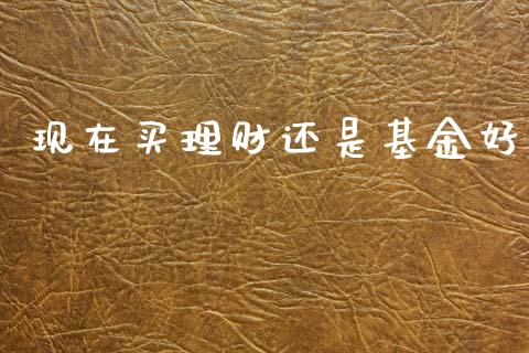 现在买理财还是基金好_https://www.ltsssb.com_基金频道_第1张