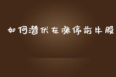 如何潜伏在涨停前牛股_https://www.ltsssb.com_期货在线_第1张