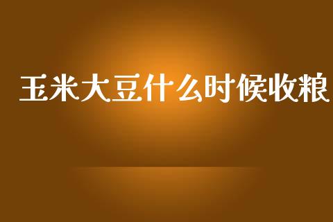 玉米大豆什么时候收粮_https://www.ltsssb.com_国际财经_第1张