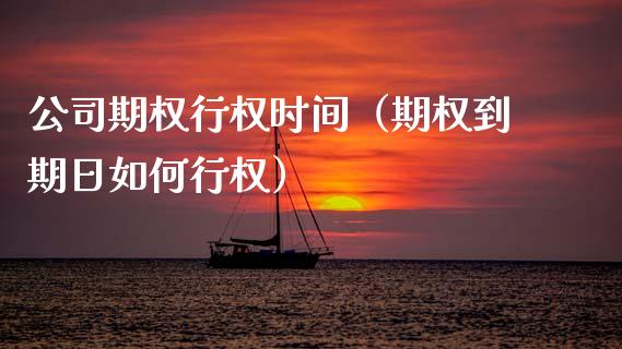公司期权行权时间（期权到期日如何行权）_https://www.ltsssb.com_期货密码_第1张
