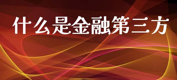 什么是金融第三方_https://www.ltsssb.com_新股数据_第1张