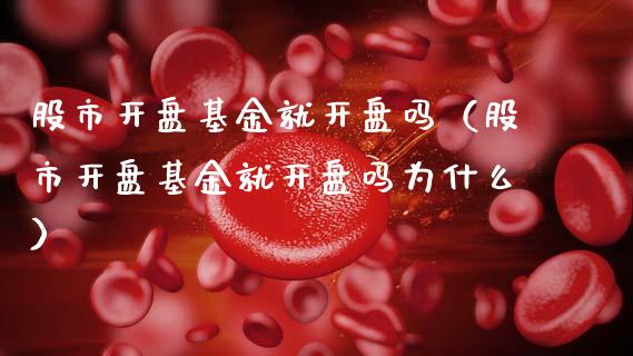 股市开盘基金就开盘吗（股市开盘基金就开盘吗为什么）_https://www.ltsssb.com_基金频道_第1张
