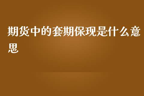 期货中的套期保现是什么意思_https://www.ltsssb.com_期货在线_第1张