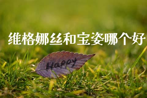 维格娜丝和宝姿哪个好_https://www.ltsssb.com_股市分析_第1张
