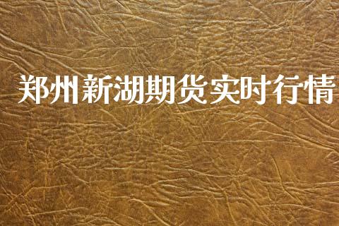 郑州新湖期货实时行情_https://www.ltsssb.com_期货在线_第1张