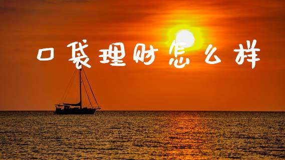 口袋理财怎么样_https://www.ltsssb.com_新股数据_第1张