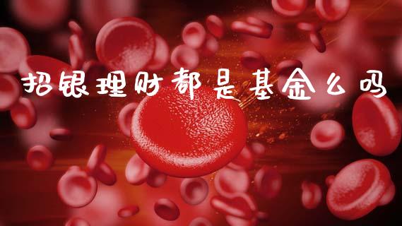 招银理财都是基金么吗_https://www.ltsssb.com_基金频道_第1张