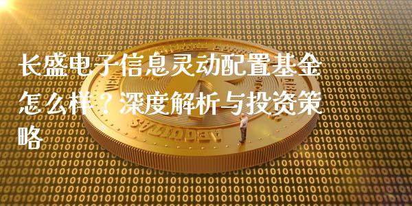 长盛电子信息灵动配置基金怎么样？深度解析与投资策略_https://www.ltsssb.com_基金频道_第1张