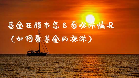 基金在股市怎么看涨跌情况（如何看基金的涨跌）_https://www.ltsssb.com_基金频道_第1张
