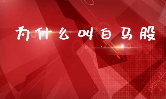为什么叫白马股_https://www.ltsssb.com_股市分析_第1张