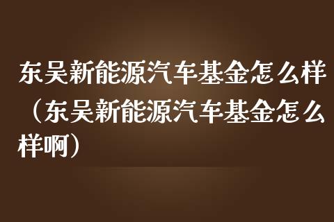东吴新能源汽车基金怎么样（东吴新能源汽车基金怎么样啊）_https://www.ltsssb.com_国际财经_第1张
